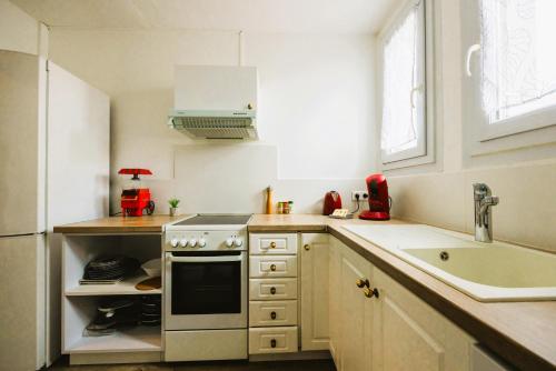 een kleine keuken met een fornuis en een wastafel bij Elégant appartement 2 pièces en HyperCentre in Rezé