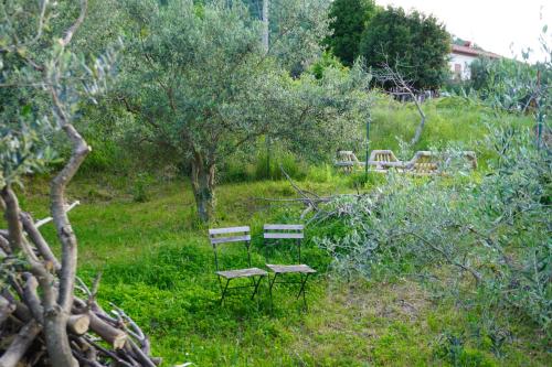 three benches in a field with trees and bushes at Casa Capodistria with sea view in Koper