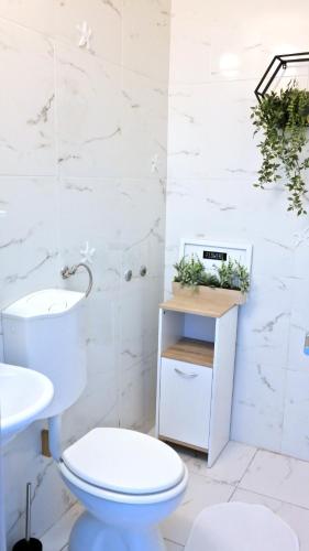 a white bathroom with a toilet and a sink at Ferienhaus Holek in Šilo