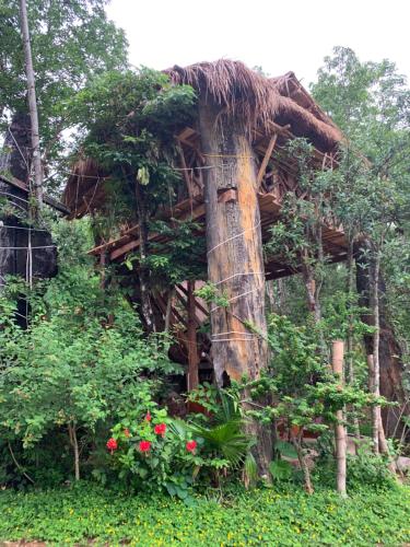 a tree house with a thatched roof at Khu Du Lịch Sinh Thái, Nghỉ dưỡng Homestay Hoàng Ánh - Kon Xom Luh in Kon Tum