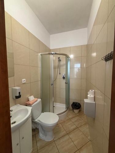 a bathroom with a shower and a toilet and a sink at WILLA ELITA in Krynica Morska