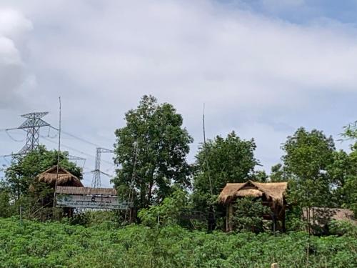 two huts in a field with trees in the background at Khu Du Lịch Sinh Thái, Nghỉ dưỡng Homestay Hoàng Ánh - Kon Xom Luh in Kon Tum