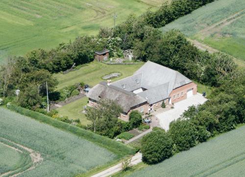 an aerial view of a house in a field at Nyager Apartments in Ringkøbing