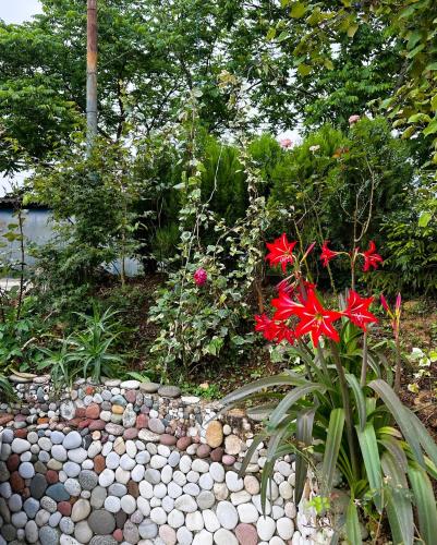 a garden with rocks and red flowers and plants at Guest House Maia in K'obulet'i