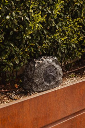 a rock sitting in front of a bush at Villa Vitali - Bellagio in Bellagio