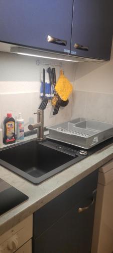 a kitchen counter with a sink and a stove at FeWo Harz Haennig 1 in Wieda