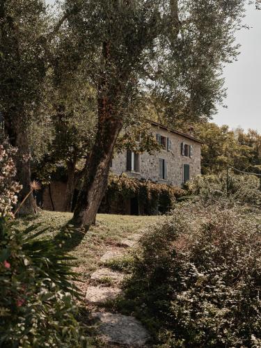 a stone house with a tree in front of it at Borgo SAN SONNEA Lake Garda in Torri del Benaco