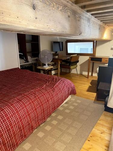 une chambre avec un lit rouge et un bureau avec un ordinateur dans l'établissement Beau T3 Canut lumineux de 75m2, à Lyon