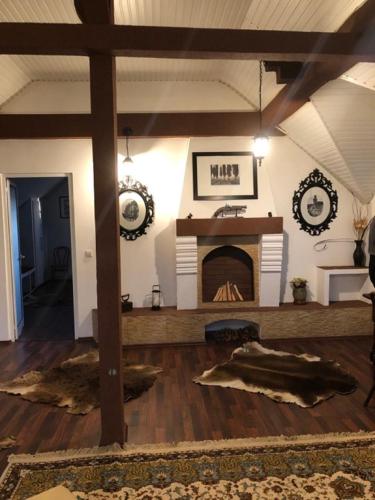 a living room with a fireplace in a room at Lilu House in Campina