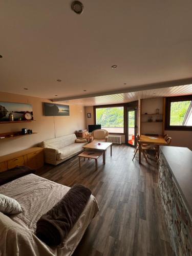 a bedroom with a bed and a living room at Apart Centro Formigal - WOWRURAL in Formigal