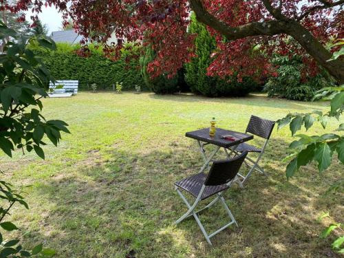 two chairs and a table in a yard at Bungalow Guilietta in Göhren-Lebbin