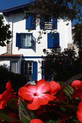 a red flower in front of a house with blue shutters at Hôtel Ohartzia in Saint-Jean-de-Luz