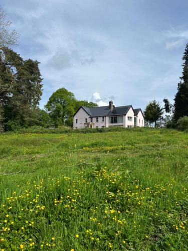 a white house in a field of flowers at The Pink House in Brecon