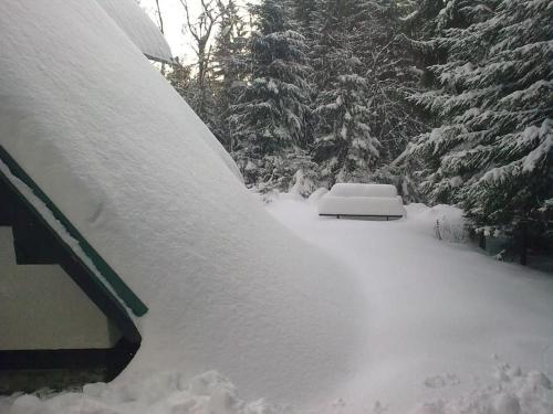 a car covered in snow next to some trees at Chata Studnička in Jakubovany