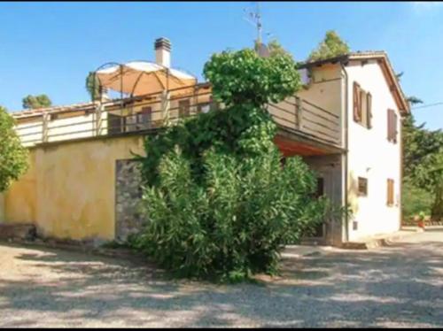 a large tree sitting in front of a building at Podere San Antonio Scopeta in Querceto