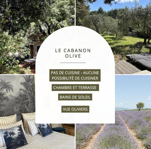 Imagen de la galería de Les Cabanons Sainte Victoire, en Saint-Marc-Jaumegarde