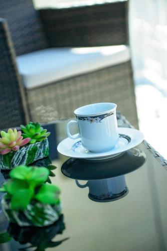 a cup and saucer on a table with plants at STEMA Kalymnos in Kalymnos