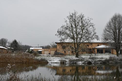 a building with a tree next to a body of water at Chambre d'hôte L'Oiseau Blanc in Saint-Nizier-le-Désert