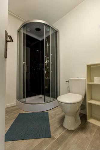 Un baño con inodoro y ducha de cristal. en Gite du biziou, en Lignières-de-Touraine