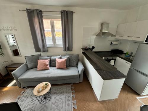 Η κουζίνα ή μικρή κουζίνα στο Castelli Apartment Umag