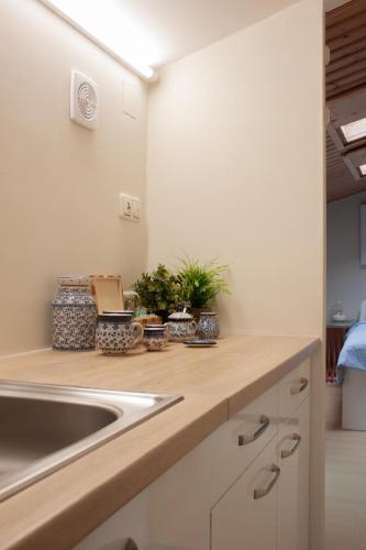 a kitchen with a sink and some plants on a counter at B&B Wasboerderij Beek Ubbergen in Beek