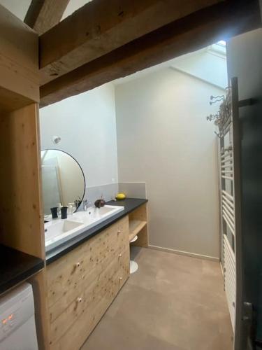 une salle de bain avec un lavabo et un miroir dans l'établissement Villenouan domaine et gites, à Lailly-en-Val