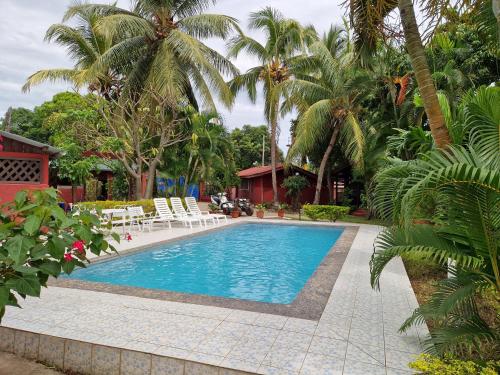 a swimming pool with chairs and palm trees at Bungalow Chez Mouch Nosy Be 7 in Nosy Be