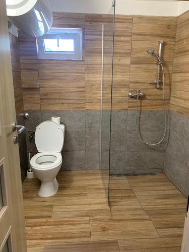 a bathroom with a toilet and a glass shower at Penzion Pálava in Nové Mlýny