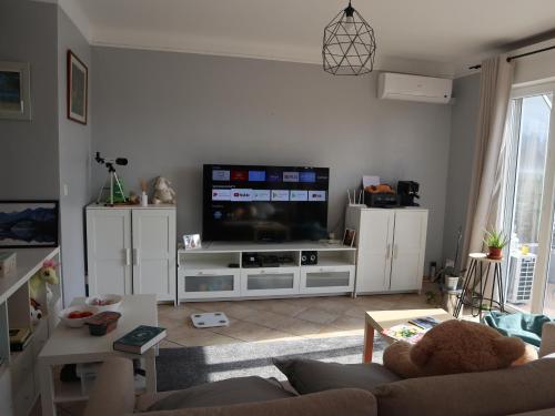 Antibes/Juan les pins, cosy apartment