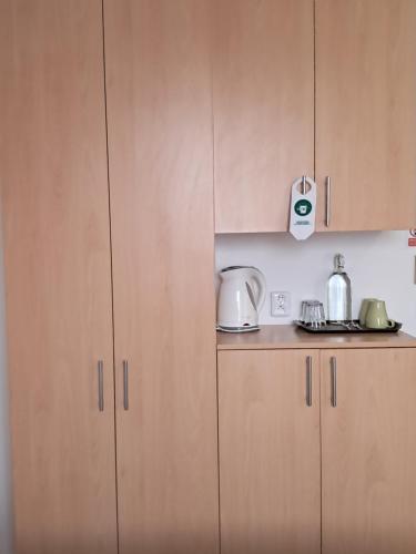 a kitchen with wooden cabinets and a counter top at Hotel Garni Rambousek in Prague