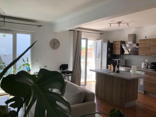 un salon avec un canapé et une cuisine dans l'établissement Antibes/Juan les pins, cosy apartment, à Antibes