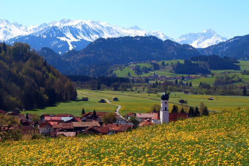 Un pequeño pueblo en un campo de flores con montañas. en Aparte 3-Zi-Wohnung im Oberallgäu direkt am Berg!, en Immenstadt im Allgäu