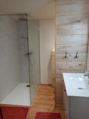 une salle de bain avec une douche en verre et un lavabo dans l'établissement Petite maison avec piscine, à Vezels-Roussy