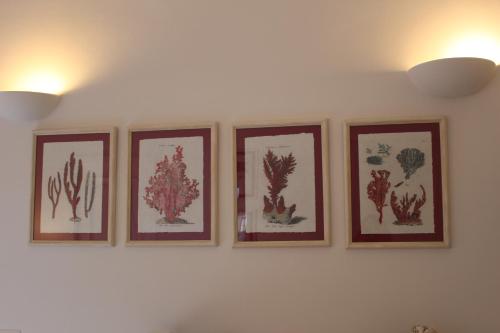 four framed prints of plants on a wall at Il Palazzetto Ponza in Ponza