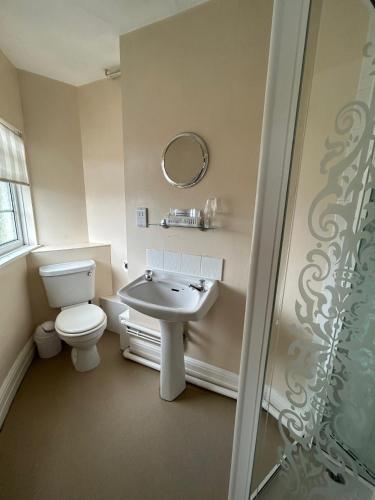 a bathroom with a toilet and a sink and a mirror at Blue Boar Inn in Atherstone
