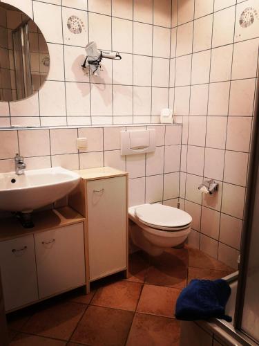 Koupelna v ubytování Appartements am Jagdschloss Whg 6