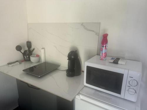 a microwave and a laptop sitting on a counter at SKYS LOCATION PAKEHINA in Schœlcher