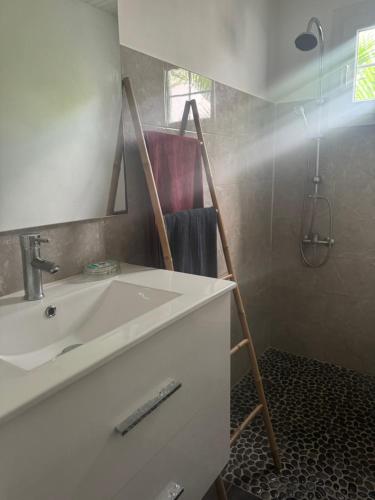 La salle de bains est pourvue d'un lavabo, d'un miroir et d'une douche. dans l'établissement SKYS LOCATION PAKEHINA, à Schœlcher