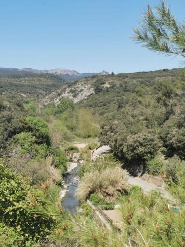 Grand appartement en Minervois