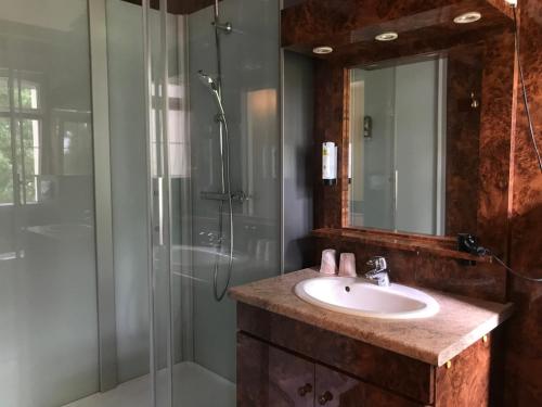 y baño con lavabo y ducha. en Logis Hôtel & Restaurant - Le Château Des Tourelles en Le Wast