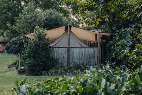 a gazebo in a garden with a tree at Firefly Falls in Plettenberg Bay