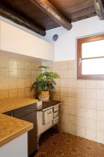 a kitchen with a potted plant on the counter at Oasi di pace vista lago-Cardada-Locarno in Orselina
