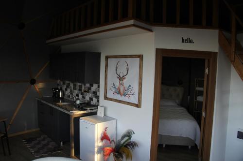 Ένα ή περισσότερα κρεβάτια σε δωμάτιο στο Bogina Dome & Suite - Çamlıhemşin