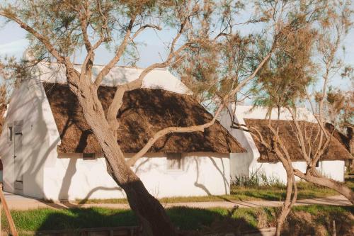a white house with a thatched roof and a tree at Les Bains Gardians in Saintes-Maries-de-la-Mer