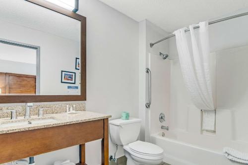 a bathroom with a toilet and a sink and a mirror at Comfort Suites near I-80 and I-94 in Lansing