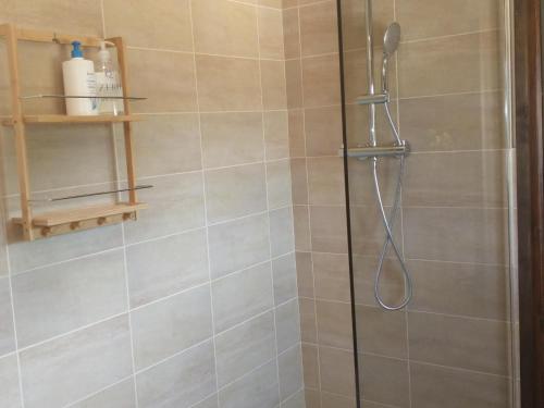 ein Bad mit einer Dusche und einer Glastür in der Unterkunft Cortijo mirasol in Santa Cruz de Comercio