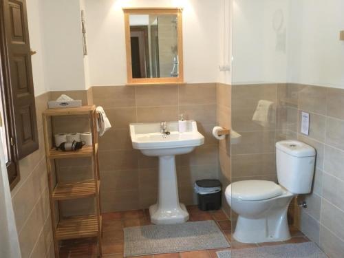 a bathroom with a toilet and a sink at Cortijo mirasol in Santa Cruz de Comercio
