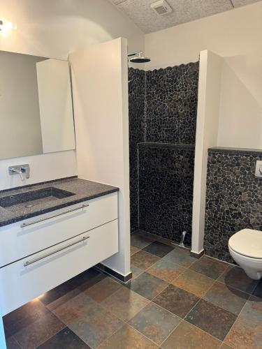 a bathroom with a toilet and a shower at Hvide Sande Hotel in Hvide Sande