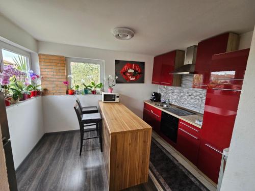 Η κουζίνα ή μικρή κουζίνα στο Apartment Zara
