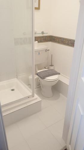 a white bathroom with a toilet and a shower at All Seasons Guest House in Great Yarmouth
